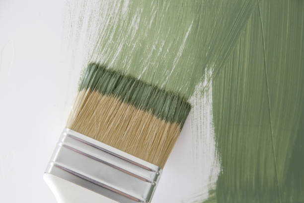Professional Mold Removal in West Pasco, WA