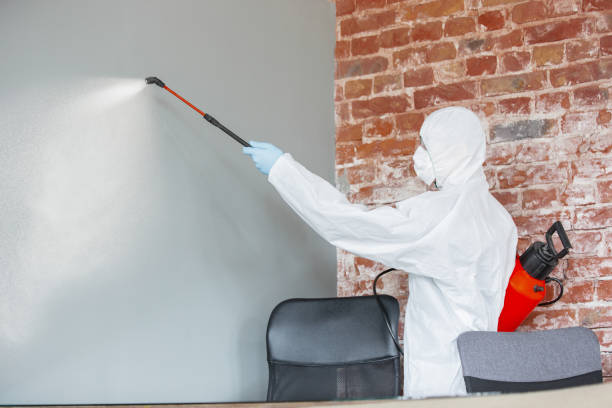 Best Comprehensive Air Testing for Mold Contaminants  in West Pasco, WA