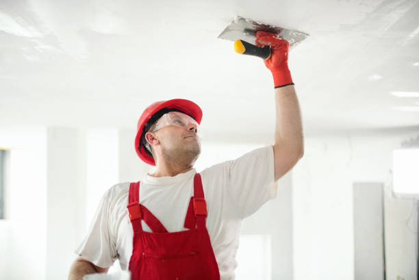 Best Basement Mold Removal  in West Pasco, WA