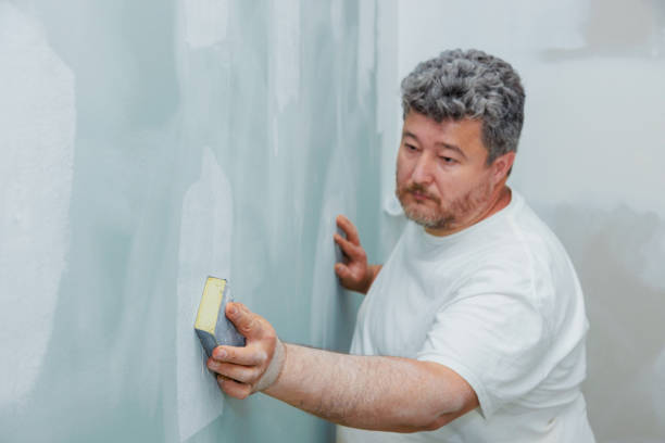 Best Asbestos and Lead Testing During Mold Inspection  in West Pasco, WA